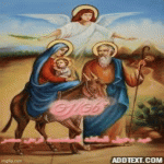 IMG_8915.gif