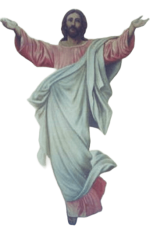 IMG_8411.png