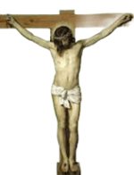 IMG_8388.png