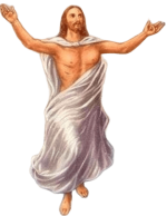 IMG_8381.png