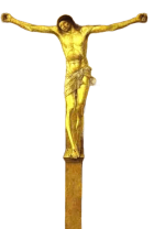 IMG_8351.png