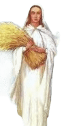 IMG_8405.png
