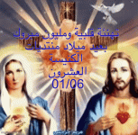 IMG_8930.gif