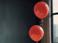 IMG_8934.gif