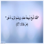 IMG_8938.gif