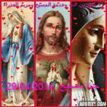 IMG_8957.gif