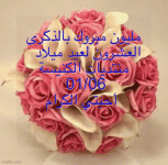 IMG_8961.gif