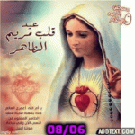 IMG_8991.gif