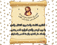 IMG_8995.gif