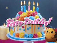 IMG_9005.gif
