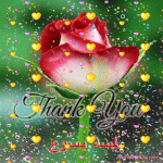 IMG_9007.gif IMG_9007.gif