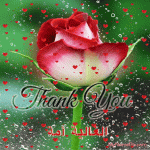 IMG_9013.gif
