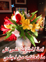 IMG_9022.gif
