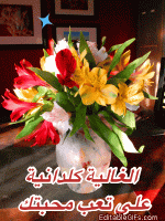 IMG_9023.gif