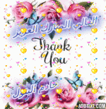 IMG_9024.gif IMG_9024.gif