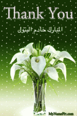 IMG_9025.gif IMG_9025.gif