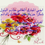 IMG_9028.gif IMG_9028.gif