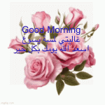 IMG_9030.gif