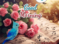 IMG_9031.gif