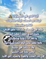 FB_IMG_1748709006316.jpg