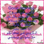 IMG_9035.gif