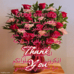 IMG_9048.gif