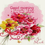 IMG_9050.gif