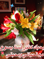 IMG_9066.gif