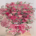 IMG_9073.gif
