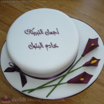 IMG_9091.png IMG_9091.png