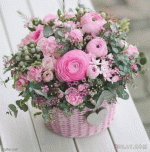 IMG_9097.gif IMG_9097.gif