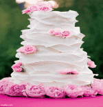 IMG_9103.gif