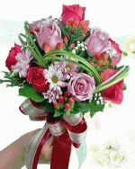 IMG_9099.gif