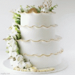IMG_9088.gif