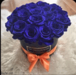 IMG_9106.gif