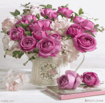 IMG_9112.gif