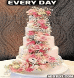 IMG_9151.gif IMG_9151.gif