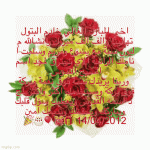 IMG_9165.gif
