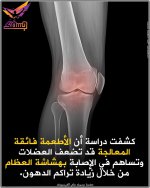 FB_IMG_1748592903181.jpg