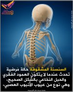 FB_IMG_1748592892697.jpg