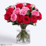 IMG_9175.gif