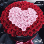 IMG_9173.gif