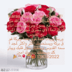 IMG_9184.gif