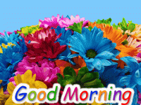 IMG_9192.gif