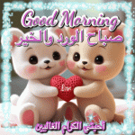 IMG_9194.gif