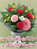 IMG_9195.gif