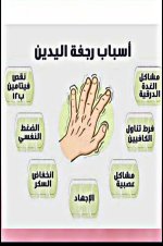 FB_IMG_1750023142594.jpg