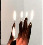 IMG_9221.gif IMG_9221.gif