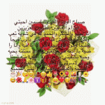 IMG_9226.gif