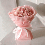 IMG_8421.gif